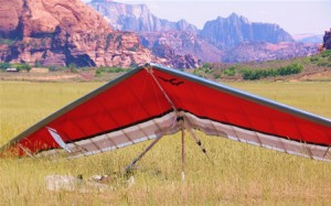 Len Clements' Wills Wing T2, Partially Derigged