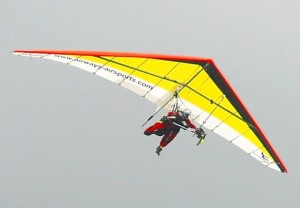 Lucy the Falcon Perched on Falcon 3 Tandem