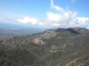 California Condor (1)