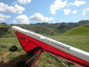 California Condor (7)