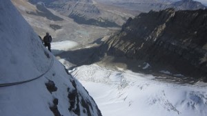 Covery improvments (1)