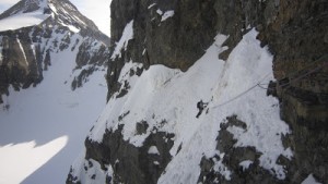 Covery improvments (14)