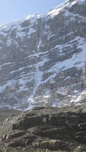 Covery improvments (4)