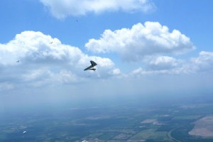 Rob Kells Memorial (10)