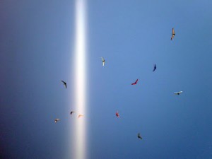 blue days are social