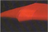 Eagle nose detail