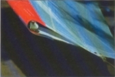 Eagle tip detail
