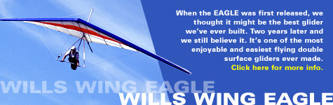 Eagle homepage feature photo