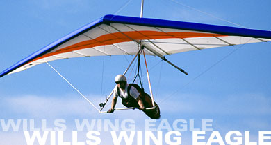 Wills Wing Eagle in flight
