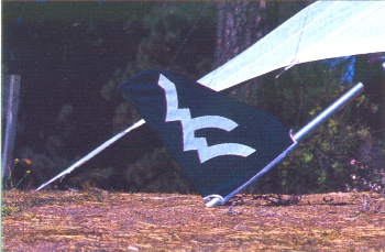 Eagle vertical stabilizer installed