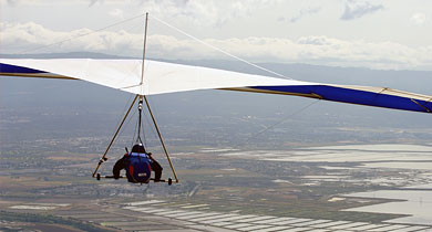 Falcon 3 in flight