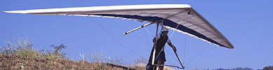 Talon eNews feature