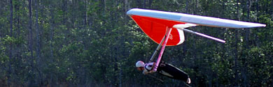 Talon news photo