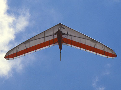 Talon planform view