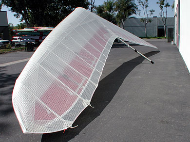 Talon top surface detail